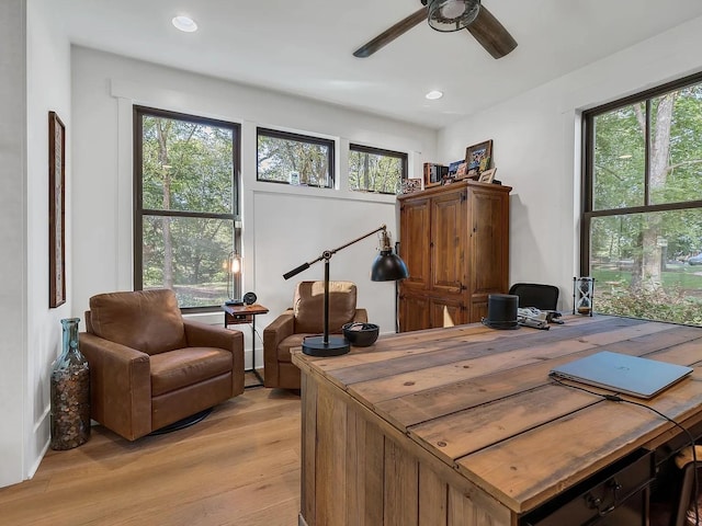 2001 Trilogy Ln, Mount Pleasant, TN 38474 - office space featuring light wood-type flooring, a ceiling fan, and recessed lighting
