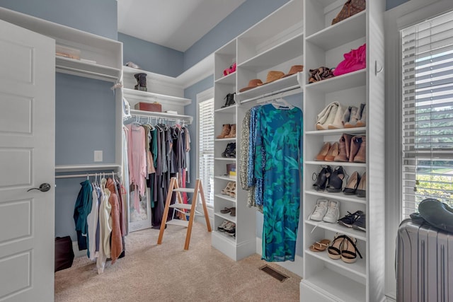 1051 Fitzroy Cir, Spring Hill, TN 37174 - spacious closet featuring carpet floors and radiator