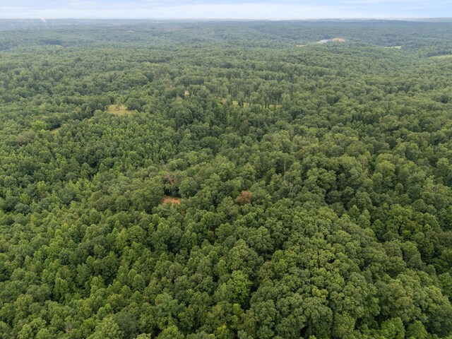 1270 N Buchanan Rd, Waverly, TN 37185