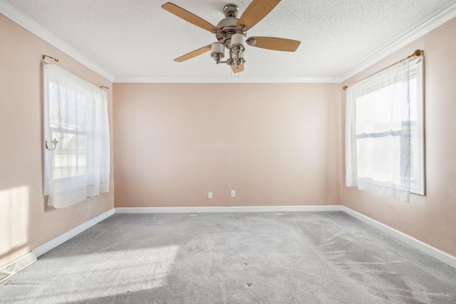519 Hemingway Dr, Columbia, TN 38401 - empty room with ornamental molding, healthy amount of natural light, carpet, ceiling fan, and a textured ceiling