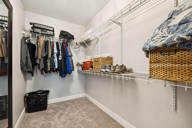 3002 Stow Xing, Murfreesboro, TN 37128 - walk in closet featuring carpet