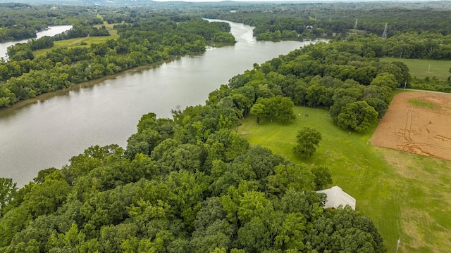 1113 E Robertson Rd, Castalian Springs, TN 37031