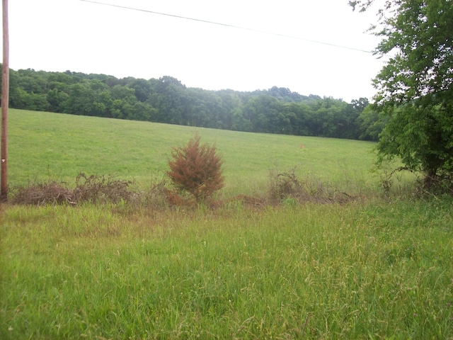 210 Moore Rd, Wartrace, TN 37183