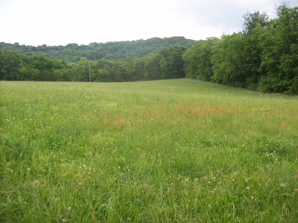 210 Moore Rd, Wartrace, TN 37183