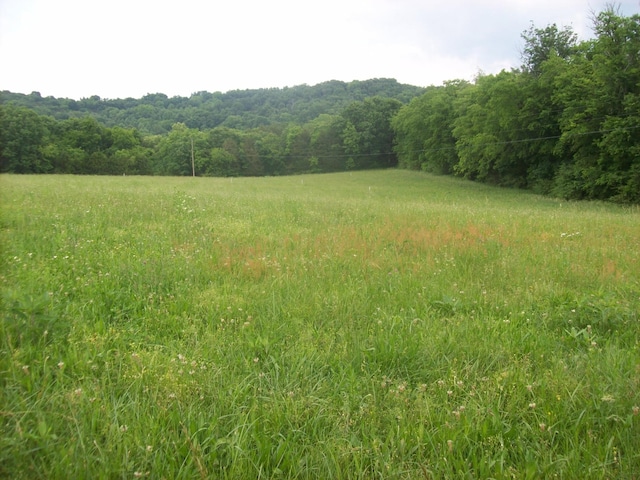 210 Moore Rd, Wartrace, TN 37183