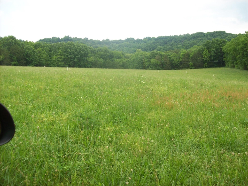 210 Moore Rd, Wartrace, TN 37183