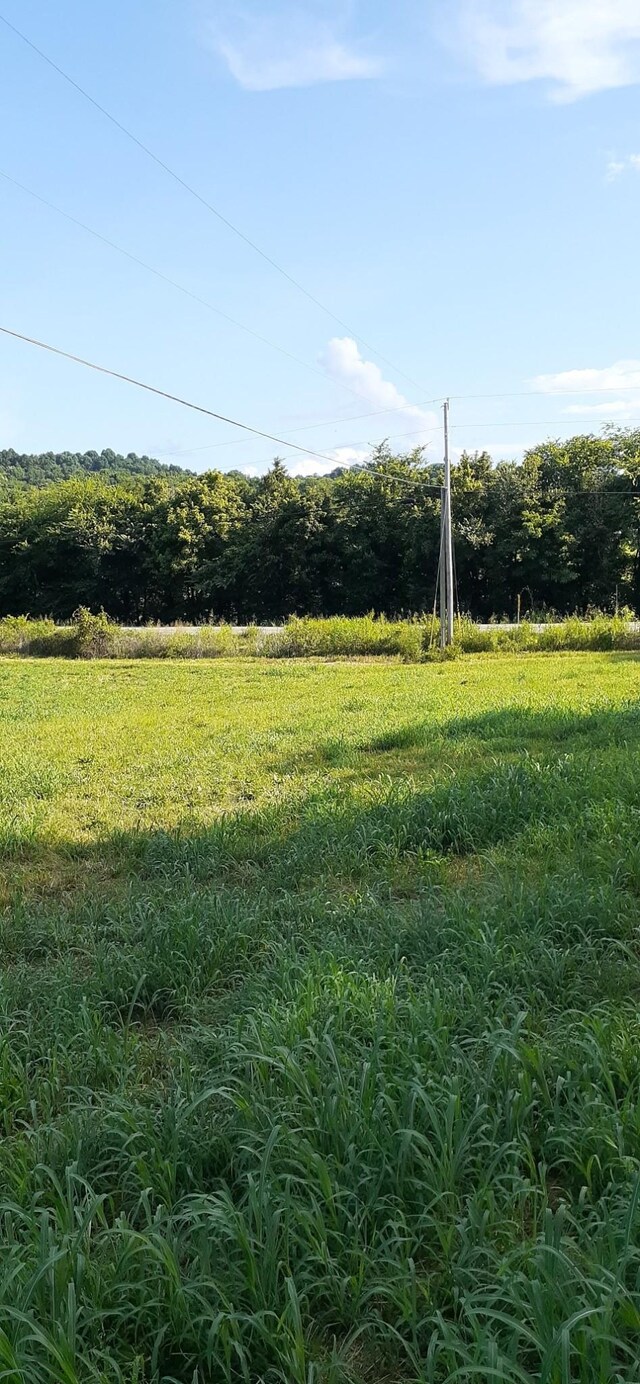 210 Moore Rd, Wartrace, TN 37183 - photo 3