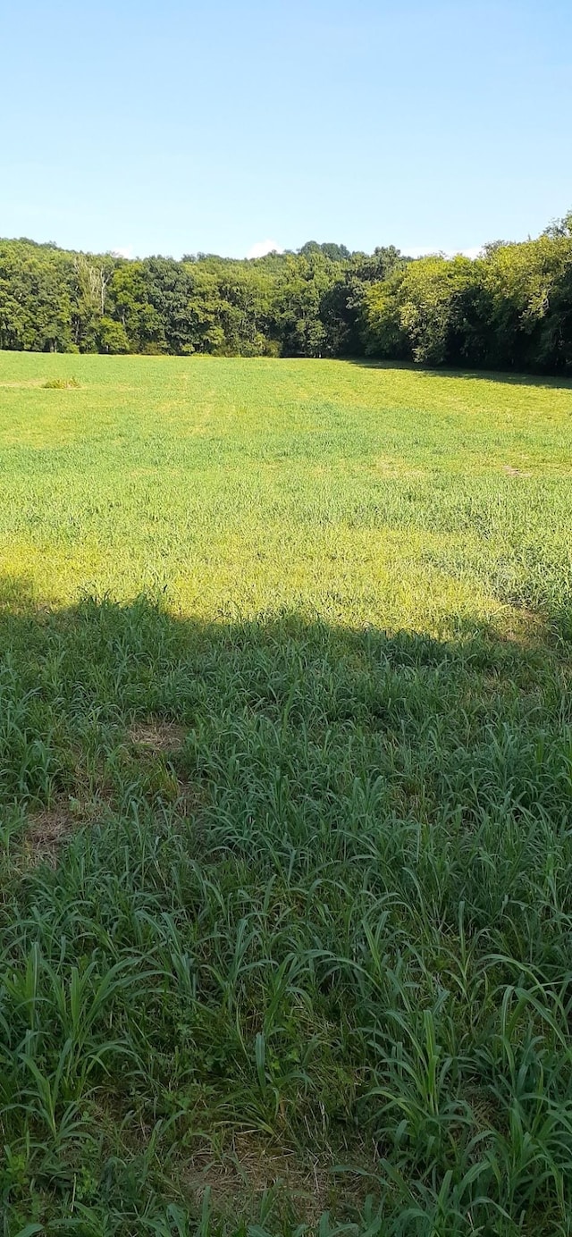 210 Moore Rd, Wartrace, TN 37183 - photo 2