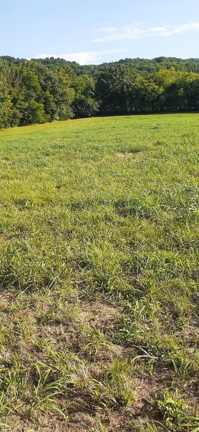 210 Moore Rd, Wartrace, TN 37183 - photo 6