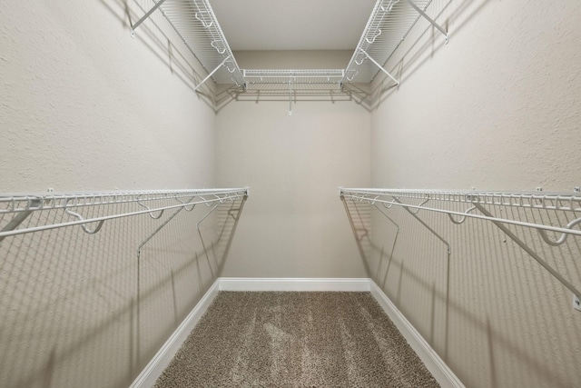 130 Alabama Ave, Oak Grove, KY 42262 - walk in closet with carpet