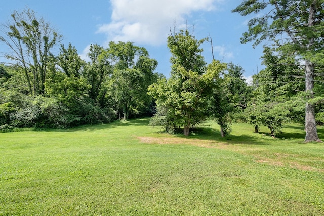 13 Hickory Ct, Antioch, TN 37013 - photo 28