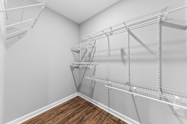 369 Springwater Dr, Summertown, TN 38483 - spacious closet featuring dark wood-style flooring