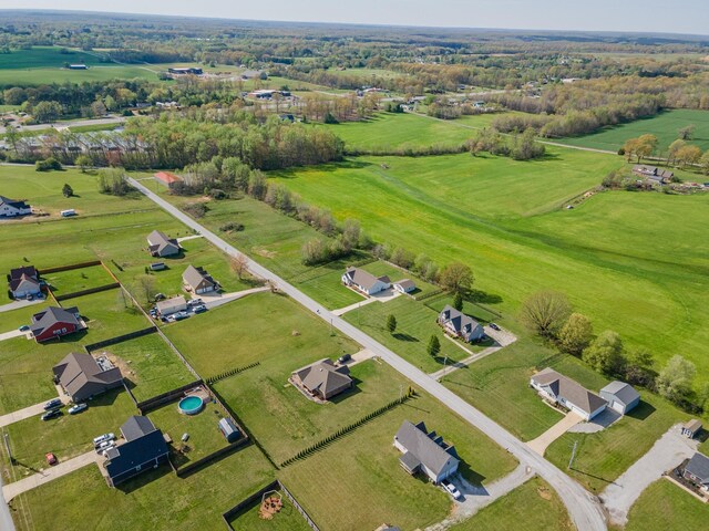 369 Springwater Dr, Summertown, TN 38483 - drone / aerial view