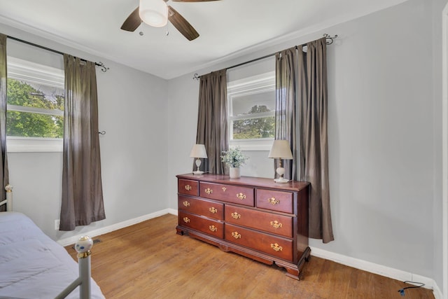 1827 Shelley St, Murfreesboro, TN 37129 - bedroom featuring multiple windows, light wood-style floors, and ceiling fan