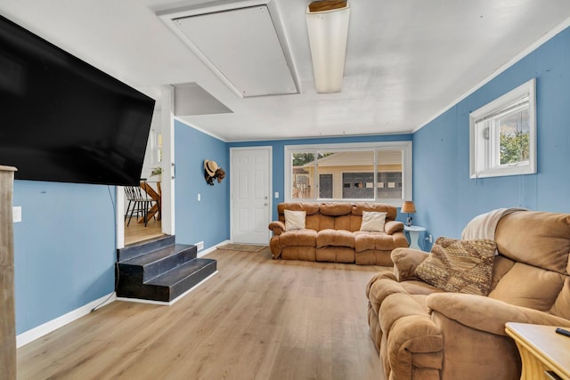 1827 Shelley St, Murfreesboro, TN 37129 - living area featuring attic access, wood finished floors, ornamental molding, and stairs