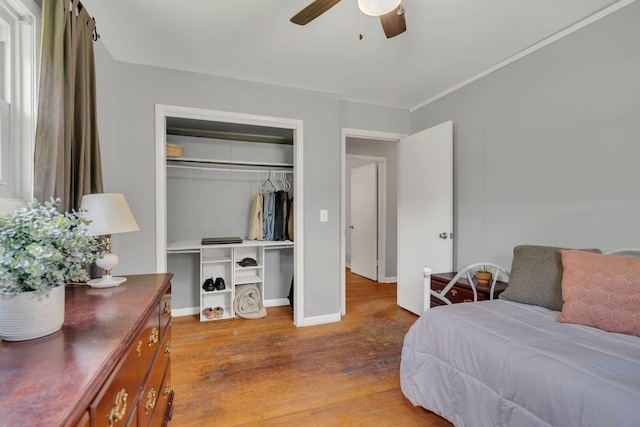 1827 Shelley St, Murfreesboro, TN 37129 - bedroom with a closet, light wood-style flooring, and ceiling fan