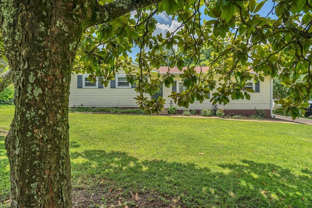 1827 Shelley St, Murfreesboro, TN 37129 - view of green lawn