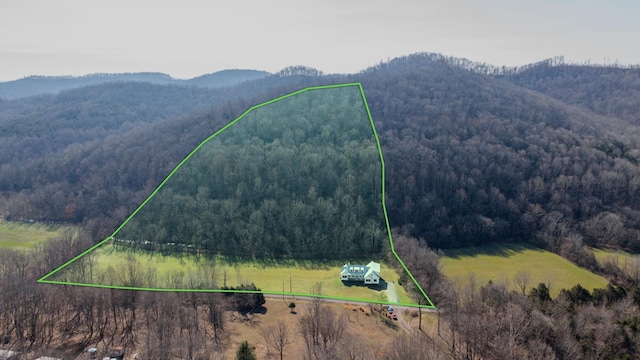 3310 Rocky Branch Rd, Watertown, TN 37184 - view of mountain backdrop featuring a heavily wooded area
