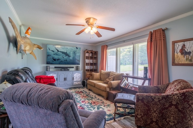 502 Budd St, Saint Joseph, TN 38481 - living area with crown molding, ceiling fan, and wood finished floors