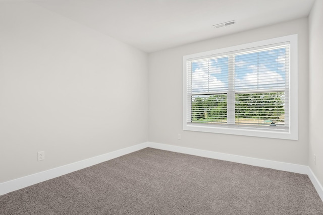 4003 Norman Dr, Spring Hill, TN 37174 - photo 8