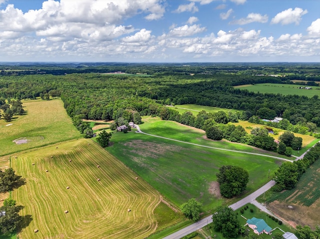 123 Jones Rd, Taft, TN 38488 - bird's eye view of a heavily wooded area