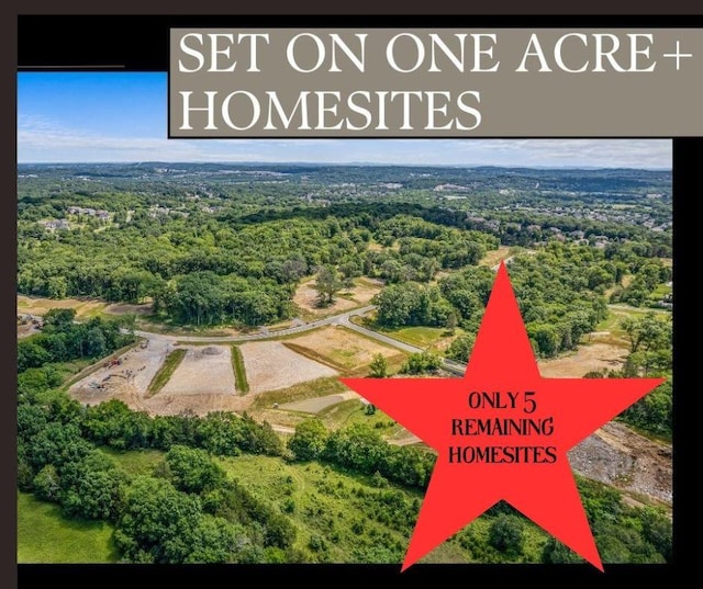 9919 Elland Rd, Brentwood, TN 37027 - photo 2