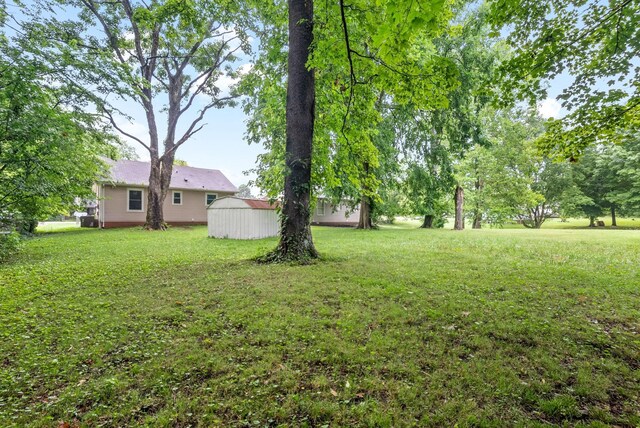 135 E St, Clarksville, TN 37042 - photo 29