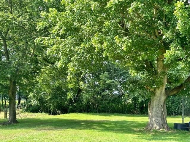 2244 Baptist Branch Rd, Mount Pleasant, TN 38474 - view of green lawn