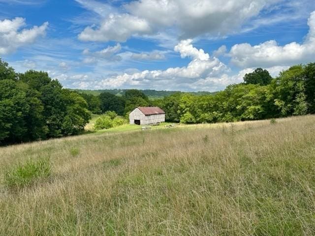 2244 Baptist Branch Rd, Mount Pleasant, TN 38474 - view of yard featuring a forest view, a view of countryside, and an outbuilding