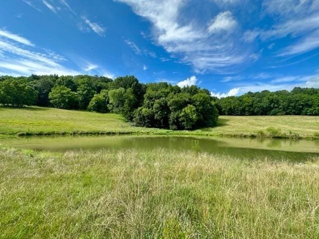 2244 Baptist Branch Rd, Mount Pleasant, TN 38474 - view of wooded area with a water view