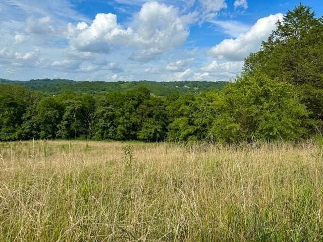 2244 Baptist Branch Rd, Mount Pleasant, TN 38474 - view of wooded area