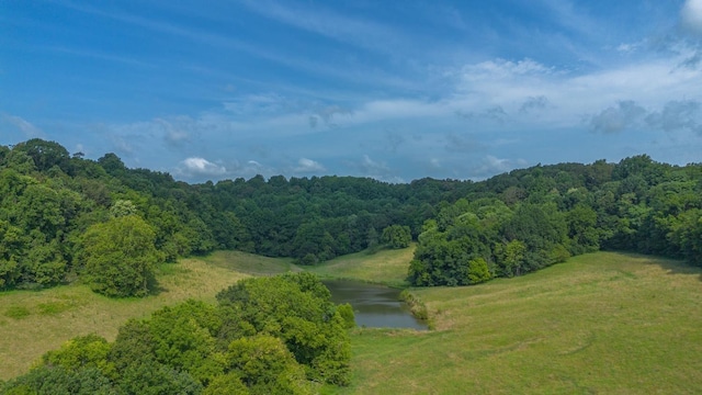 2244 Baptist Branch Rd, Mount Pleasant, TN 38474 - view of mountain background featuring a heavily wooded area and a nearby body of water