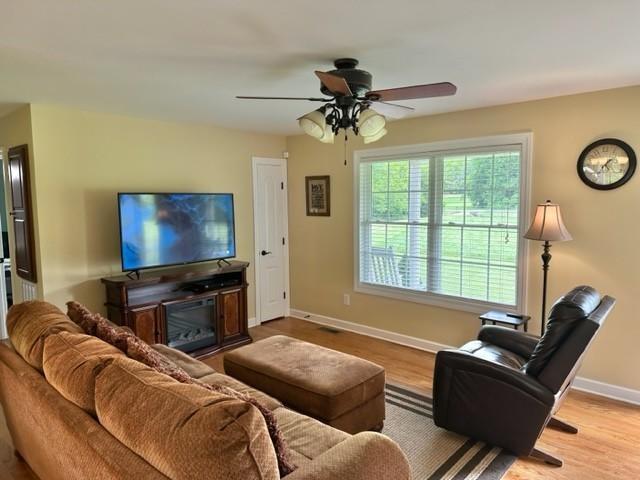 2244 Baptist Branch Rd, Mount Pleasant, TN 38474 - living room featuring ceiling fan and wood finished floors