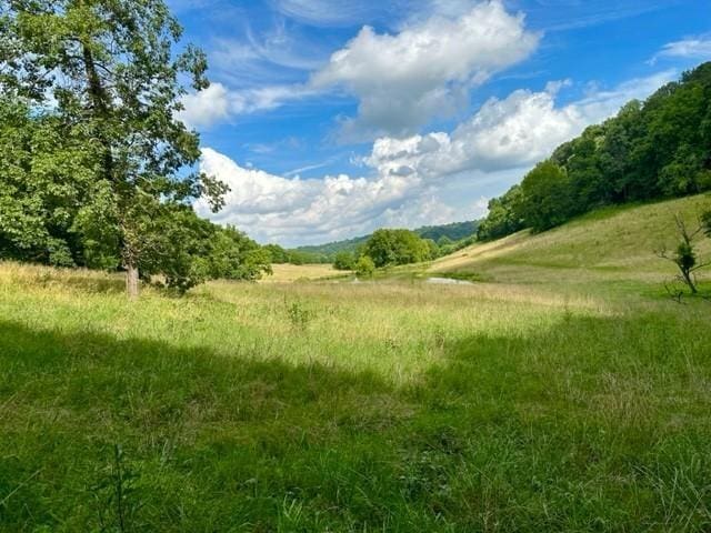 2244 Baptist Branch Rd, Mount Pleasant, TN 38474 - view of local wilderness with rural landscape