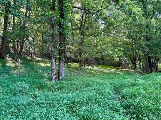 2244 Baptist Branch Rd, Mount Pleasant, TN 38474 - view of wooded area