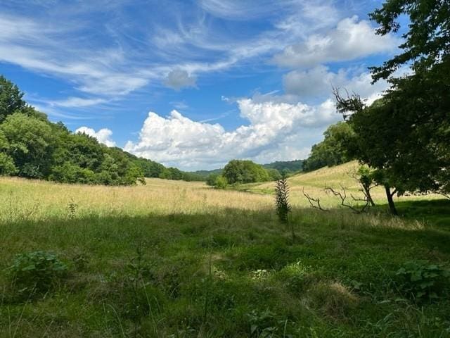 2244 Baptist Branch Rd, Mount Pleasant, TN 38474 - view of nature featuring rural landscape