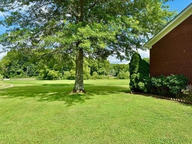 2244 Baptist Branch Rd, Mount Pleasant, TN 38474 - view of grassy yard with view of wooded area