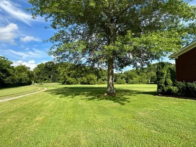 2244 Baptist Branch Rd, Mount Pleasant, TN 38474 - view of green lawn