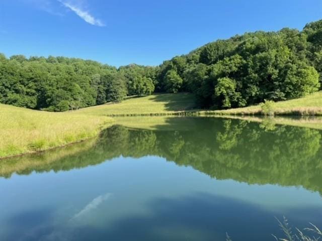 2244 Baptist Branch Rd, Mount Pleasant, TN 38474 - water view featuring a forest