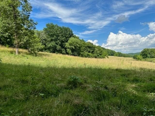 2244 Baptist Branch Rd, Mount Pleasant, TN 38474 - view of local wilderness with rural landscape