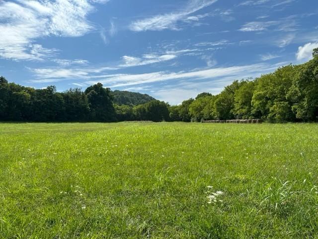 2244 Baptist Branch Rd, Mount Pleasant, TN 38474 - view of tree filled area featuring a view of countryside