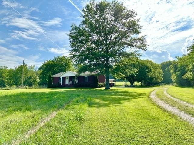 2244 Baptist Branch Rd, Mount Pleasant, TN 38474 - view of green lawn
