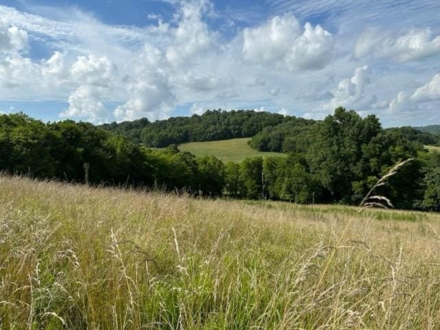 2244 Baptist Branch Rd, Mount Pleasant, TN 38474 - view of wooded area