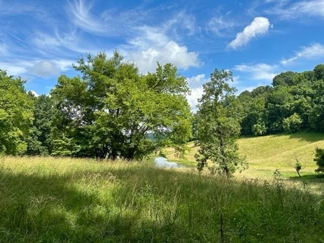 2244 Baptist Branch Rd, Mount Pleasant, TN 38474 - view of undeveloped land