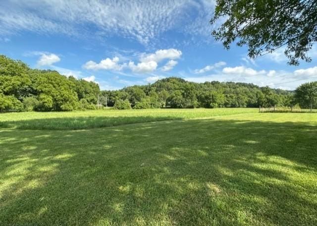 2244 Baptist Branch Rd, Mount Pleasant, TN 38474 - view of green lawn featuring a forest view