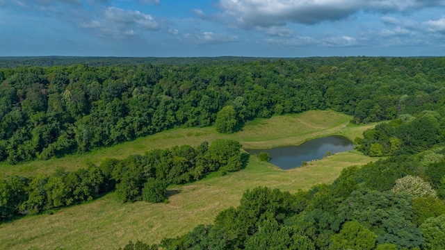 2244 Baptist Branch Rd, Mount Pleasant, TN 38474 - aerial overview of property's location with a heavily wooded area and a large body of water