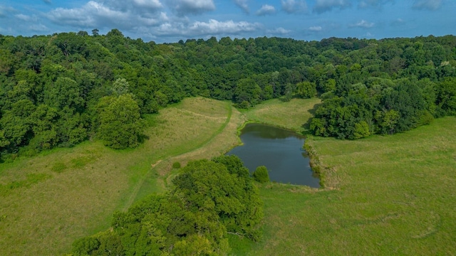 2244 Baptist Branch Rd, Mount Pleasant, TN 38474 - bird's eye view of a large body of water and a forest