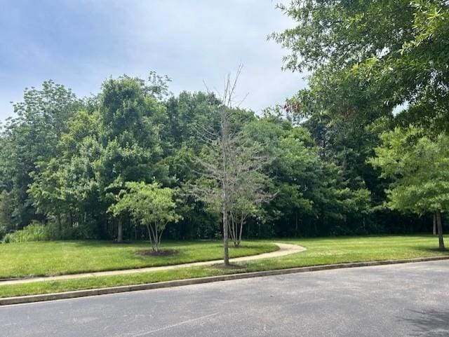 2976 Kingston Cir S, Mount Juliet, TN 37122 - view of asphalt road with curbs and sidewalks