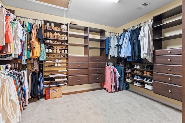 2684 Wind Dance Ct, Spring Hill, TN 37174 - spacious closet with attic access and carpet