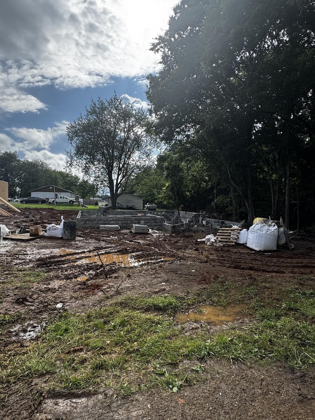 413 Stein St, Oak Grove, KY 42262 - view of yard